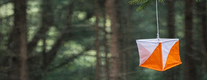 bild på orienteringsskärm