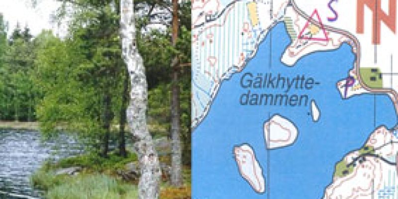 Resultat Träningsläger i Nyköping söndag 9 mars – Tullinge SK